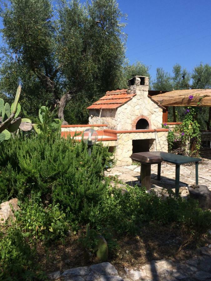 Villa Terra Di Ulivo Vieste Exterior foto